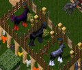 Thumbnail for version as of 20:58, 16 August 2026