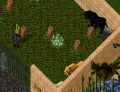 Thumbnail for version as of 15:00, 15 August 2026