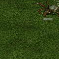 Thumbnail for version as of 03:35, 13 October 2025